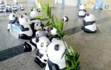 河南省体中心熊猫艺术展景点