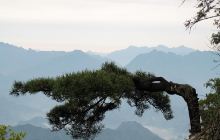 龙池曼风景区景点