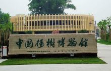 中国杨树博物馆景点