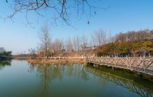 古淮河文化生态景区景点