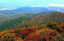 登山健身区景点