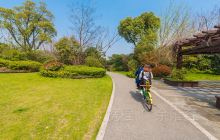 阳山桃花岛景观公园景点