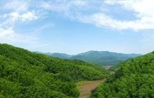 衢州大竹海森林公园