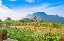 登高村景点