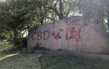 CBD公园