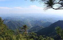 天目山镇天目村