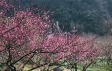 九峰山网岙景区