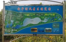 金乡县金平湖公园