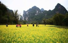 刘家村风景区