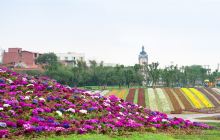 兴隆花海景点