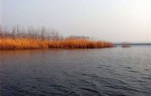 沱湖自然保护区景点