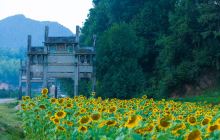 蜀源村景点