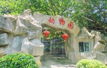 晋江市动物园景点
