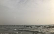 金沙滩马兰海滨