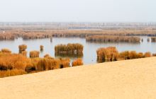 沙湖生态旅游区景点