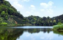 蒲江县朝阳湖白鹭生态自然保护区景点
