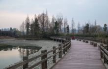 观音湖湿地公园景点