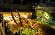 自贡恐龙博物馆景点