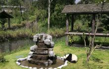 中国大熊猫保护研究中心雅安基地景点