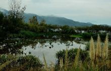 烟雨鹭洲湿地景点