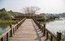 锦江湿地公园景点