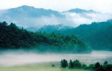 三爪仑国家森林公园景点