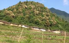 宝莲山风景区