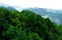 八大公山自然保护区景点
