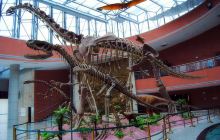 恐龙化石展馆