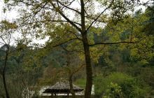 灵溪河森林旅游渡假公园景点