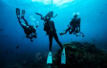 南湾猴岛潜水
