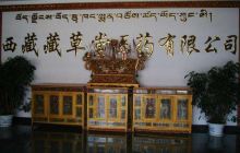 西藏藏医药文化博览中心景点