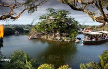 泰山树屋景点