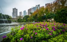 香港动植物公园景点