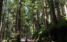太平山国家森林游乐区景点