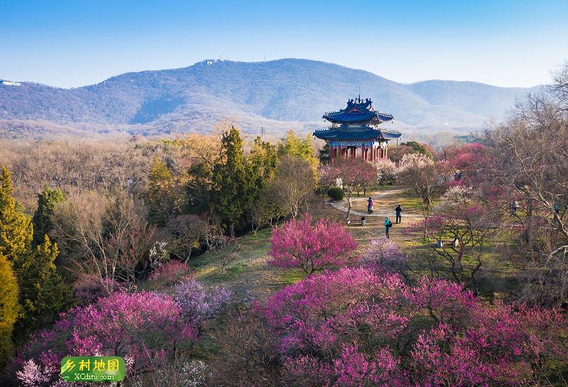 乡村地图 景点大全 江苏省景点大全 南京市景点大全>梅花山景区旅游