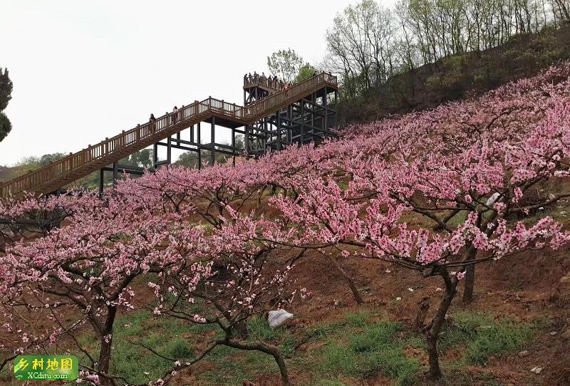 桃花故里景区旅游攻略 之景点3(3/共6页)