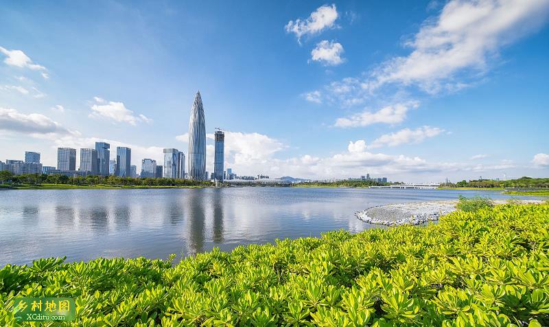 自驾 导航到南山区望海路深圳湾运动公园,下车即可走到海滨绿道