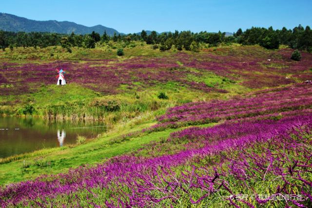 阳宗海旅游度假区景区旅游攻略 之景点4(4/共36页)