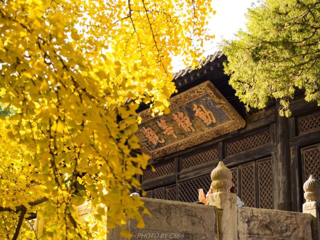 大觉寺景区旅游攻略 之景点1(1/共40页)