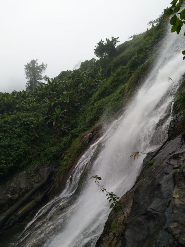 百花岭风景区景区旅游攻略 之景点1(1/共14页)