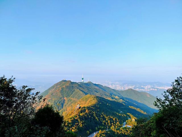 梧桐山是免费的,是深圳最高的山,山顶一览众山小 2.