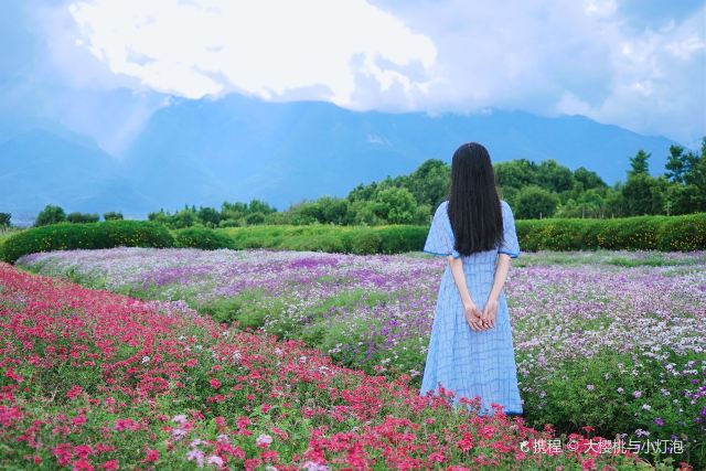 云上花海景区旅游攻略 之景点1(1/共39页)