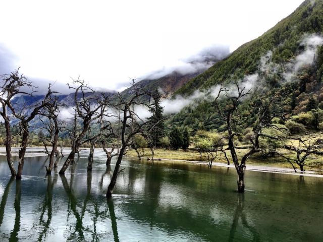 阿坝藏族羌族自治州景点大全 小金县景点大全 >四姑娜措景区旅游攻略