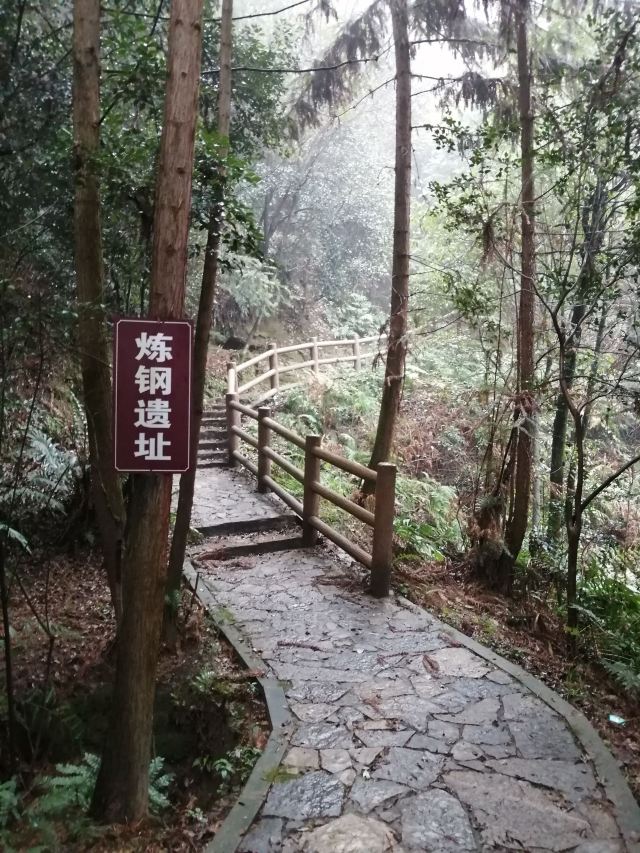 乡村地图 景点大全 重庆市景点大全 市辖区景点大全 >九凤山景区旅游