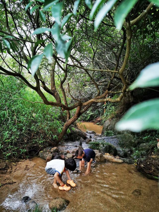 新兴天露山旅游度假区景区旅游攻略 之景点20(20/共38页)