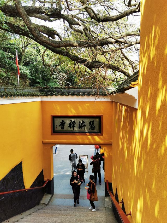 慧济寺景区旅游攻略 之景点2(2/共40页)