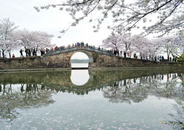 鼋头渚的著名景点,又名长春花漪.