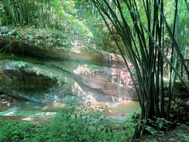 川西竹海峡谷景区金鸡谷景区旅游攻略之景点11共14页