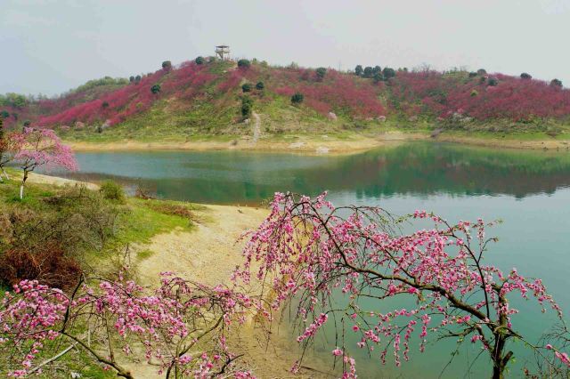 江西省景点大全 九江市景点大全 武宁县景点大全 >武宁花源谷景区旅游